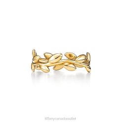 Tiffany Olive Leaf Band Ring Unisex 0J0F1481 Jewelry in Yellow Gold, Narrow