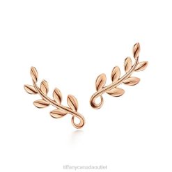 Tiffany Olive Leaf Climber Earrings Unisex 0J0F974 Jewelry