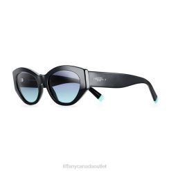 Tiffany Oval Sunglasses Unisex 0J0F2592 Accessories in Black Acetate