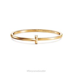 Tiffany T1 Narrow Hinged Bangle Unisex 0J0F1076 Jewelry in 18k Gold
