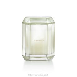 Tiffany The House of Candle Unisex 0J0F2250 Home Decor in Tsavorite-colored Glass